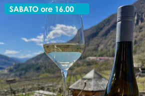 SOTTO LA VIGNA: 3 VINI PER 3 FRATELLI