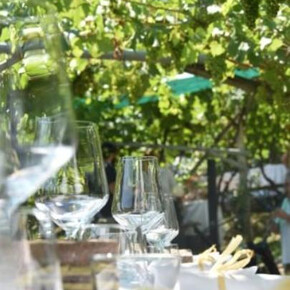 Tenuta Gottardi - Degustazione Trentodoc in vigna