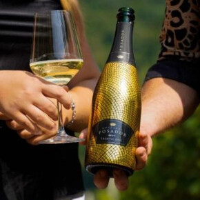 Tenuta Gottardi - Degustazione Trentodoc