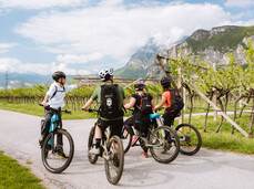 Giro del Vino 50 Tour with Bike Guide