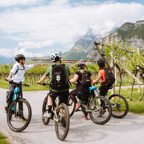 Giro del Vino 50 Tour with Bike Guide