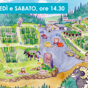 TRA BOSCO E FATTORIA