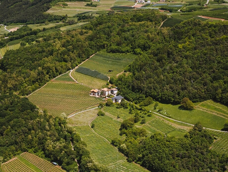 Panoramawanderung "Eine Tour durch die Zeit" - Weingut Klinger
