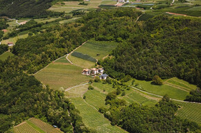 Panoramawanderung "Eine Tour durch die Zeit" - Weingut Klinger