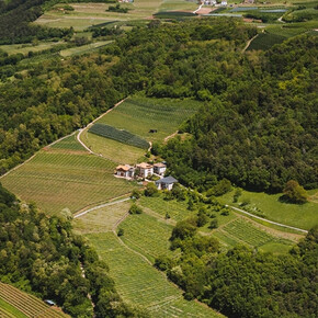 Panoramawanderung "Eine Tour durch die Zeit" - Weingut Klinger