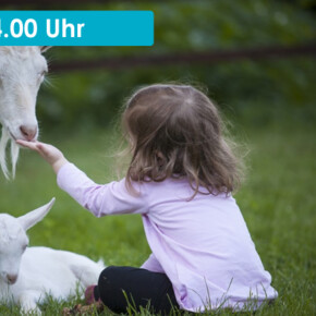 TUTTI IN MALGA PER UN POMERIGGIO DA CAPRA