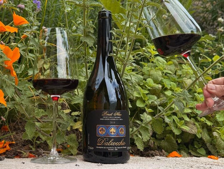 Visit and wine tasting at Dalzocchio Winery