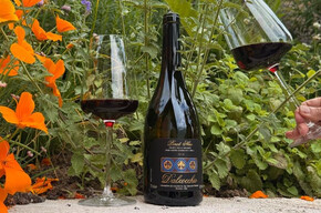 Visit and wine tasting at Dalzocchio Winery