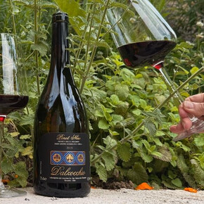 Visit and wine tasting at Dalzocchio Winery