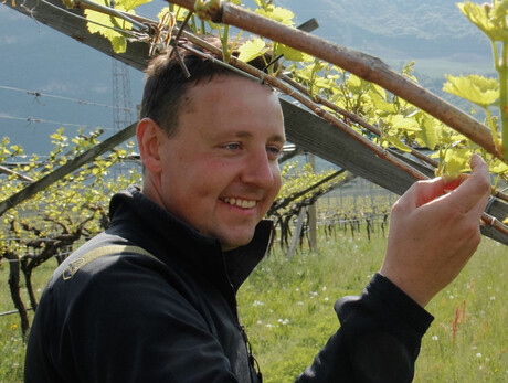 Besichtigungen und Verkostungen im Weingut Breccia