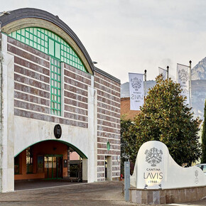 Visits and tastings at LaVis Winery