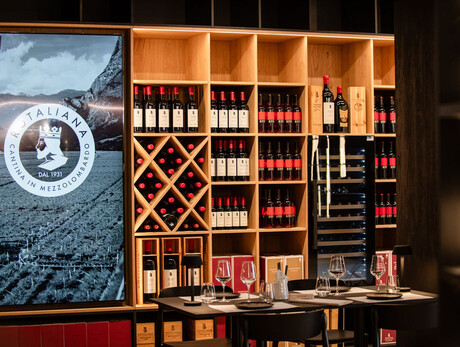 Tours in Rotaliana Winery