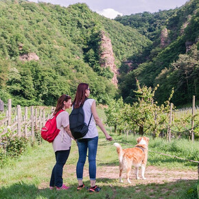 Wine Trekking - Endrizzi Winery