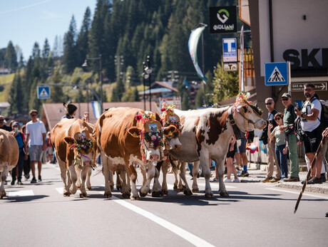 Desmonteada de Soraga_7