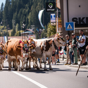 Desmonteada de Soraga_7