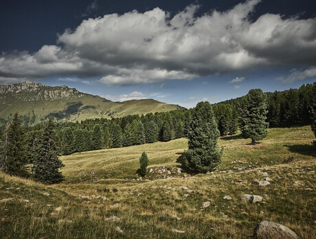 Malga Canvere - Alpe Lusia