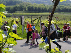 Persone che passeggaino tra i vigneti