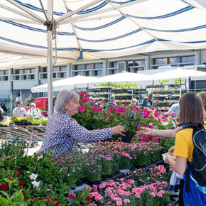 Fiera di maggio a Cles