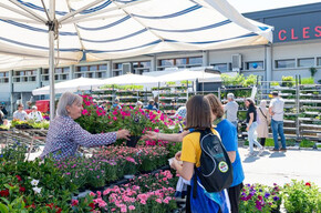 L'immagine mostra i numeri della tombola