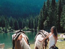 HORSEBACK RIDING: A TIMELESS ADVENTURE