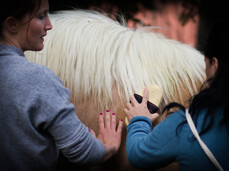 HORSEBACK RIDING: A TIMELESS ADVENTURE