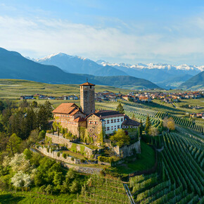 Tasting at the castle