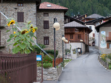 Una sottile linea d'ombra