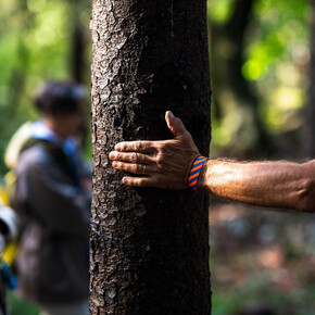 Primo piano della mano di una persona che tocca la corteccia di un albero, in un gesto che esprime connessione con la natura, tipico del forest bathing. Sullo sfondo, altre persone del gruppo sono visibili in modo sfocato, all'interno di una foresta.