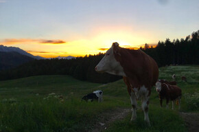 Sonnenaufgang Malga Casarina