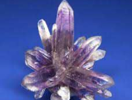 FIERA MINERALI FOSSILI METEORITI E BIGIOTTERIA