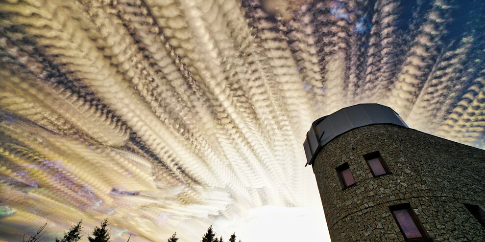 Con il naso all'insù