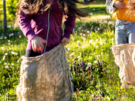 Vivi Tesino: Giochi e scoperte all'Arboreto