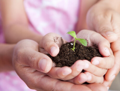 Der Garten der Kinder
