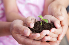Der Garten der Kinder
