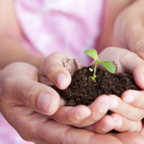 Der Garten der Kinder