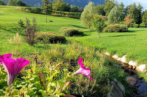 Vivi Tesino: Sotto il cielo e nell'acqua - respiro consapevole in vasca kneipp