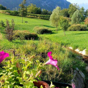 Vivi Tesino: Sotto il cielo e nell'acqua - respiro consapevole in vasca kneipp