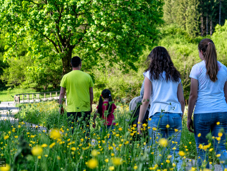 Vivi Tesino: Tesino, terra da esplorare - Il Tesino si racconta attraverso il suo territorio