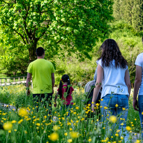 Vivi Tesino: Tesino, terra da esplorare - Il Tesino si racconta attraverso il suo territorio