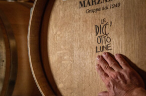  Degustazione "I cinque sensi" 