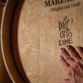  Degustazione "I cinque sensi" 