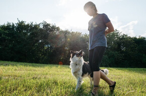  Dog trekking in nature 