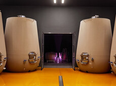  Die Kunst des Weinmachens 