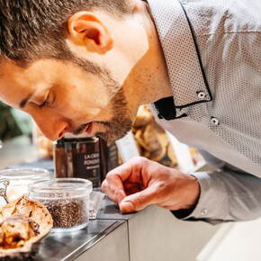  Auf den Schokoladenrouten 