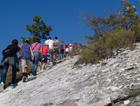 Auf den Spuren der Dinosaurier 