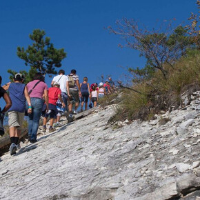  Auf den Spuren der Dinosaurier 