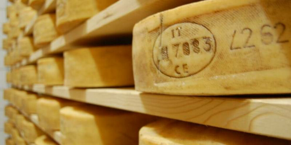 Cher de Fascia – Caseificio Val di Fassa