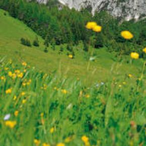 Palestra naturale Mulaz