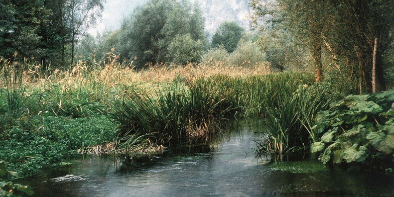 Fontanazzo Biotope #2