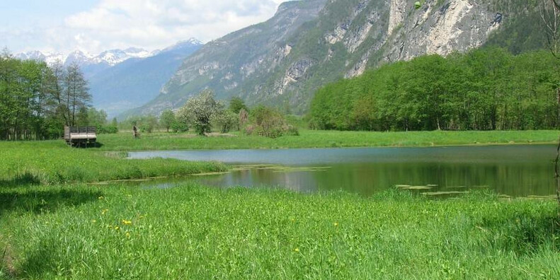 Fontanazzo Biotope #1